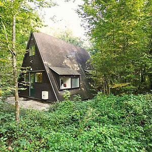 Bosmuis Ardennen, Durbuy.. Genieten in de bossen